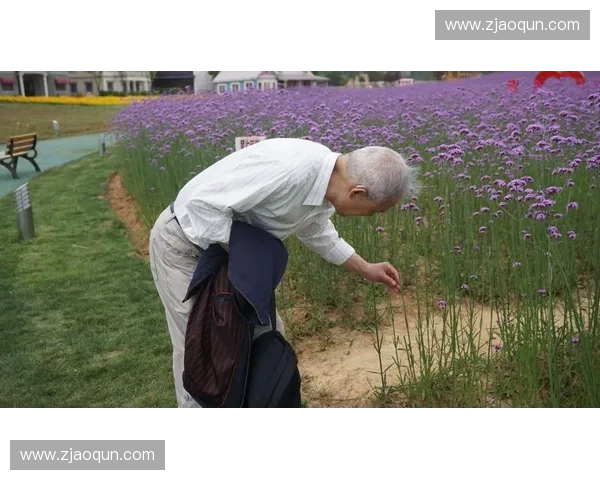 英雄舞娘携手群英踏歌行闯荡江湖谱写传奇人生